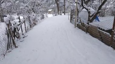 Sakin kış manzarası taze karla kaplı bir yol gösteriyor. Güzel, karla kaplı dallara odaklanmak için yavaş yavaş eğilmeye başlıyor.
