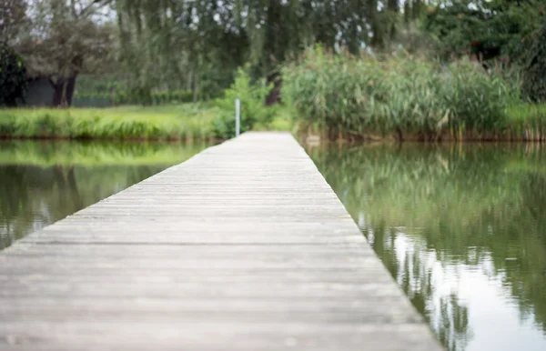 Bridge — Stock Photo, Image