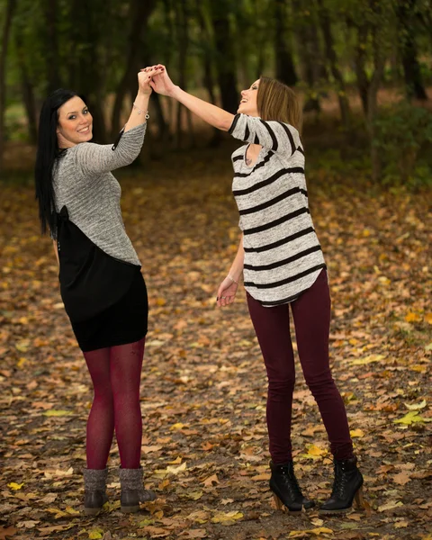 Höstlig skog — Stockfoto