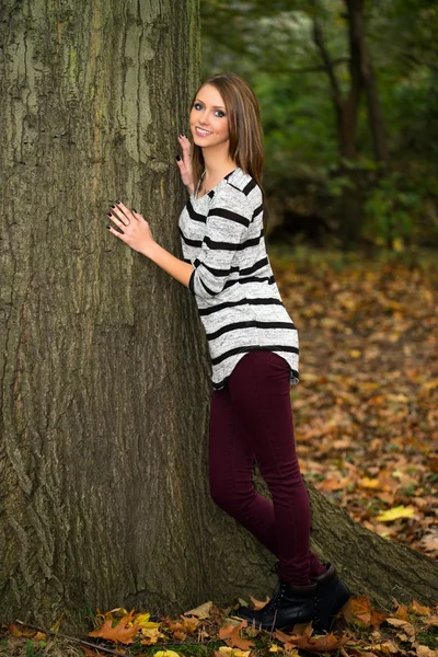 Höstlig skog — Stockfoto