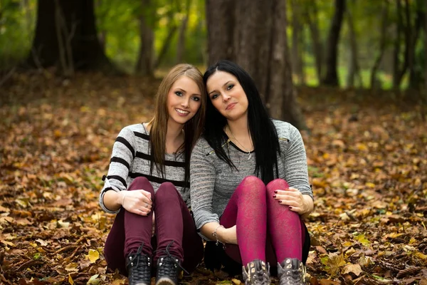 Autumnal forest — Stock Photo, Image