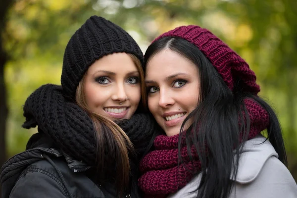 Herfst bos — Stockfoto