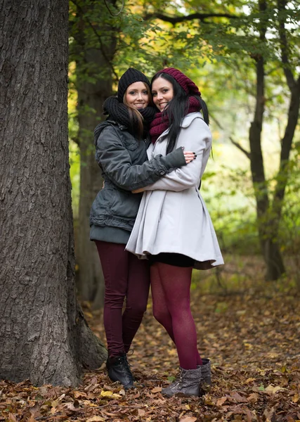 Höstlig skog — Stockfoto