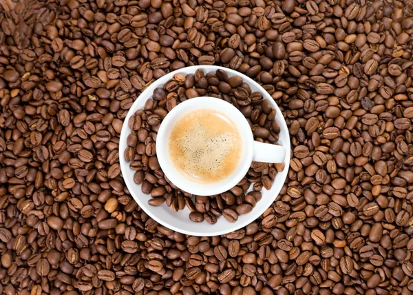 Kaffee — Stockfoto