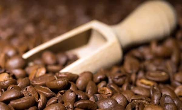 Coffee — Stock Photo, Image