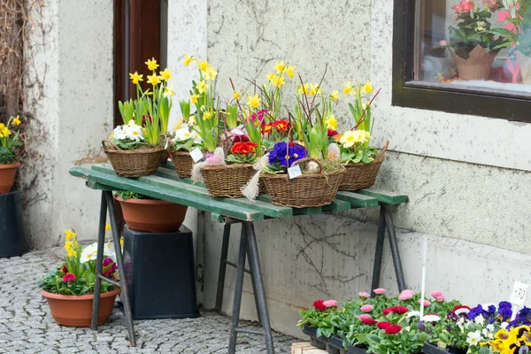 Flores — Fotografia de Stock