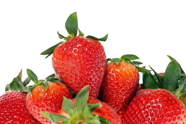 Erdbeeren — Stockfoto