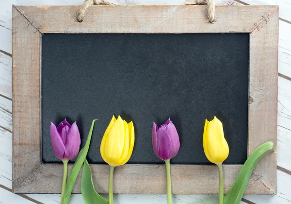 Empty blackboard — Stock Photo, Image