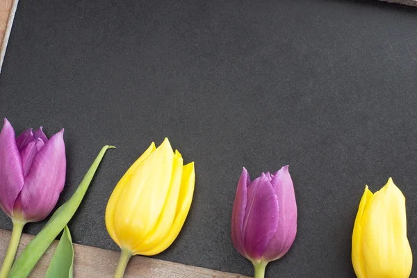 Empty blackboard — Stock Photo, Image