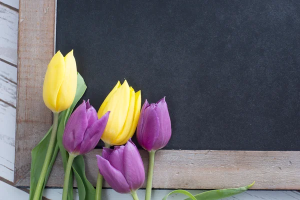 Empty blackboard — Stock Photo, Image