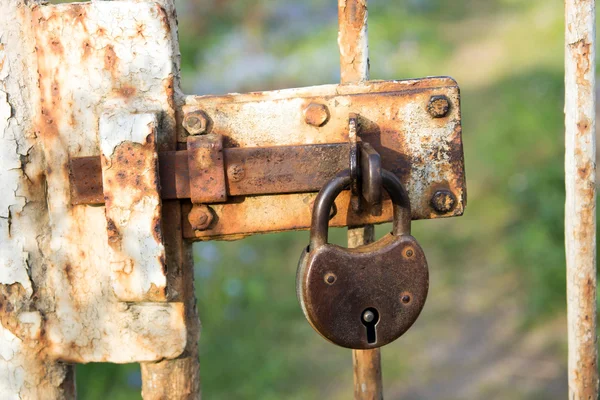 Padlock — Stock Photo, Image