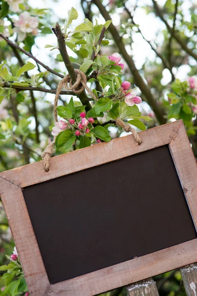 Placa vazia — Fotografia de Stock