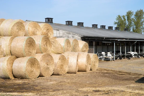 Strohballen — Stockfoto