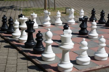 büyük satranç tahtası