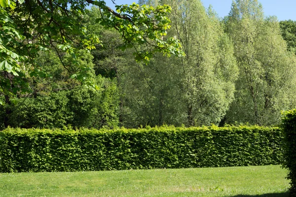 Zona de jardín — Foto de Stock