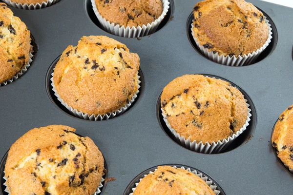 Delicious muffins — Stock Photo, Image