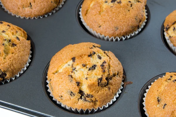 Delicious muffins — Stock Photo, Image