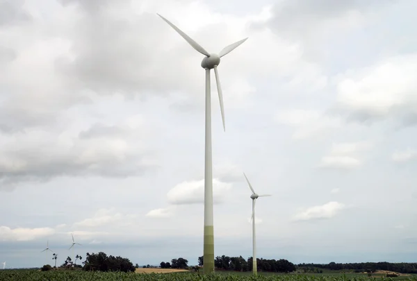 Windmolen — Stockfoto