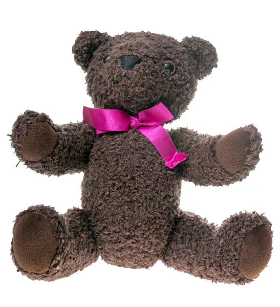 Teddy — Stockfoto