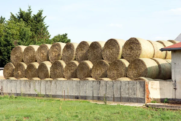 Many straw bales being stacked on a storage area — Stock Photo, Image