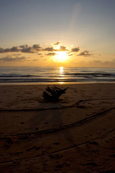 Tayland 'ın Prachuap Khiri Khan Eyaleti' ndeki Bang Boet plajında gündoğumu ve kütük silueti seyahat ve dinlenme ile ünlüdür..