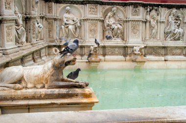 SIENA, ITALY - Siena şehrinin tarihi merkezinde Piazza del Campo 'da bulunan süslü bir mermer çeşme Fonte Gaia manzarası, 