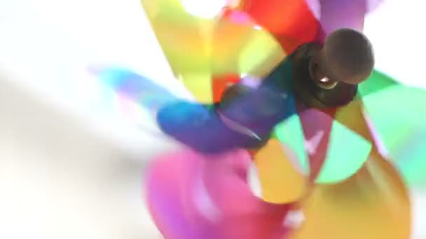 Colorfully Pinwheel Power Toy White Background — Stock Video