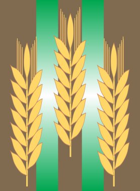 çizgili kulaklara buğday.