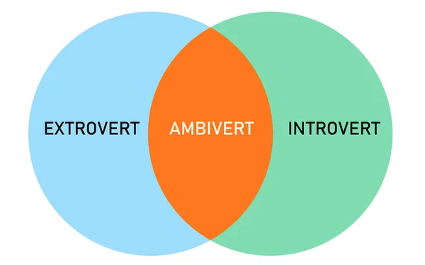 Extrovert introvert ambivert intersection diagram infographics with flat style — Stock Vector