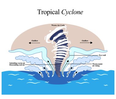 Tropikal kasırga ya da tayfun sıcak havanın yükseldiğini, serin havanın indiğini, göz duvarının alçaldığını ve meteorolojik bilgi bilimi atmosferik fenomenini dışarı attığını gösteriyor.