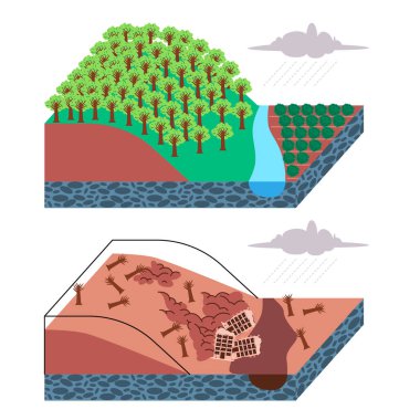 Sağlıklı orman ekosistemi erozyonu ve ormansızlaşmayı önler. Yoğun yağmur vektörü çizelgesi çizimleri sırasında toprak kaymasına yol açar. Çevresel koruma