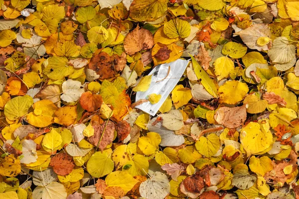 Einweg-Arztmaske im Herbstlaub weggeworfen — Stockfoto