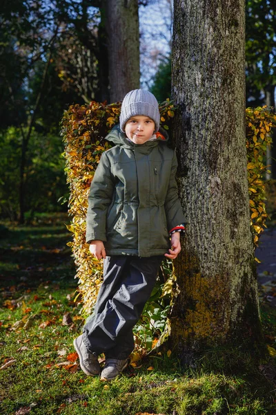 Portrét chlapce na procházce v podzimním parku. — Stock fotografie