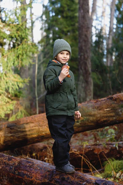 Svačinka na procházce lesem. malý chlapec s croissant v přírodě — Stock fotografie