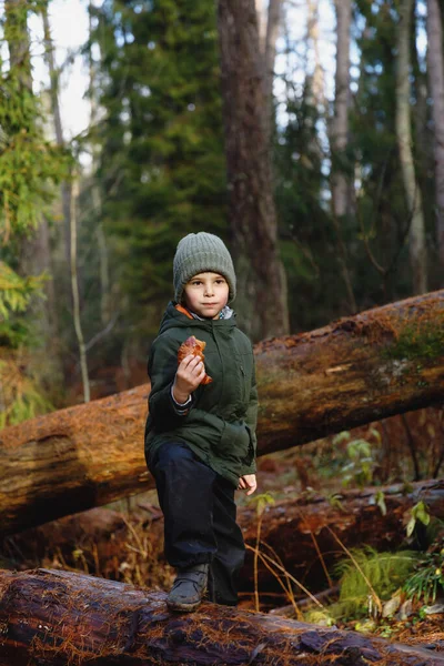 Lanche em um passeio na floresta. menino com croissant na natureza — Fotografia de Stock