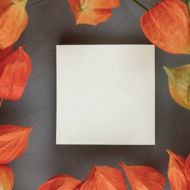 Kurumuş fizsalisten yapılmış bir çerçeve. beyaz sayfada boş