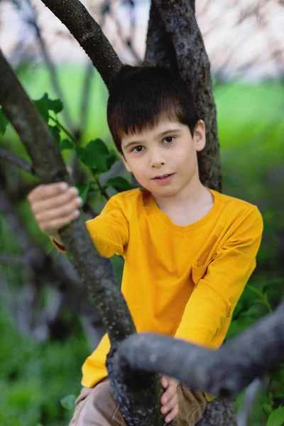 Chlapec na stromě. portrét dítěte spočívajícího na větvi. žluté tričko a víčko. — Stock fotografie