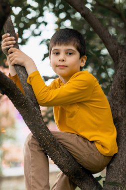 Ağaçtaki çocuk. Bir dal üzerinde dinlenen bir çocuğun portresi. Sarı tişört ve şapka.