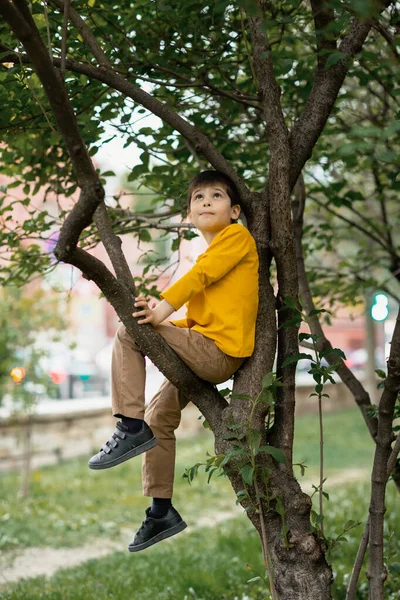 Chlapec na stromě. portrét dítěte spočívajícího na větvi. žluté tričko a víčko. — Stock fotografie