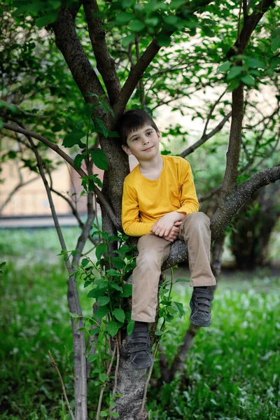 Chlapec na stromě. portrét dítěte spočívajícího na větvi. žluté tričko a víčko. — Stock fotografie