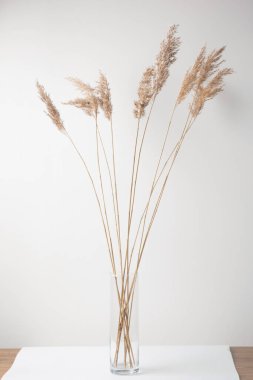 Vazodaki kuru çayır otları