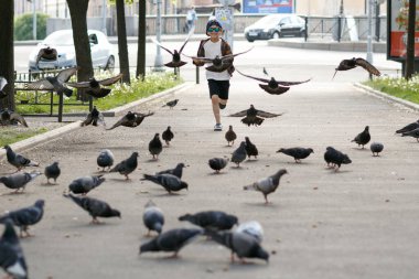 Çocuk güvercinlerle oynuyor. Yürüyüşe çıkmış güneş gözlüklü bir çocuk.