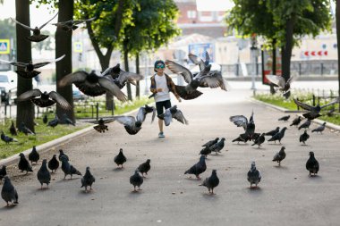 Çocuk güvercinlerle oynuyor. Yürüyüşe çıkmış güneş gözlüklü bir çocuk.