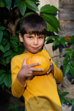 Doğada elinde balkabağı olan bir çocuğun portresi. Sarı arka planda sarı