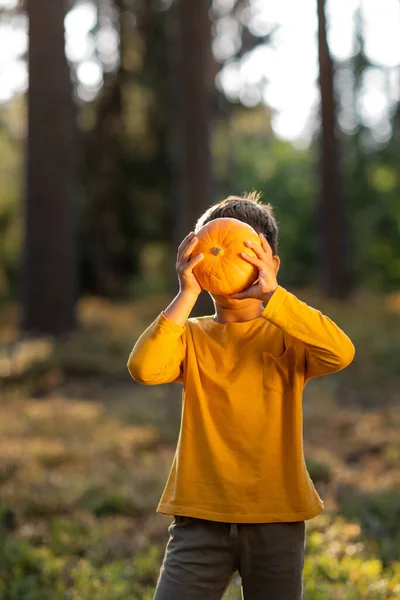 Portrét chlapce v přírodě s dýní v rukou. žlutá na pozadí žluté — Stock fotografie