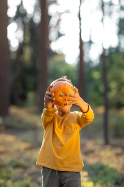 Ritratto di un ragazzo in natura con una zucca in mano. giallo sullo sfondo di giallo — Foto Stock