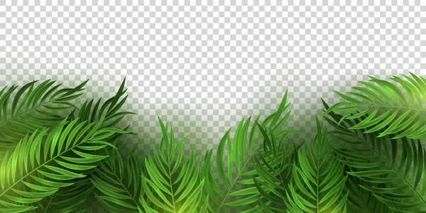 Realistické Tropické Kytice Palmového Listu Kytici Světle Průhledném Pozadí Šablona — Stockový vektor