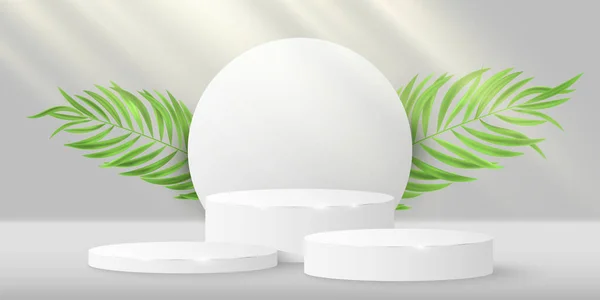 热带风格的基座和圆形与棕榈叶显示您的化妆品 3D矢量气缸舞台演示 太阳光效应 奇形怪状的模拟夏季销售 Eps — 图库矢量图片