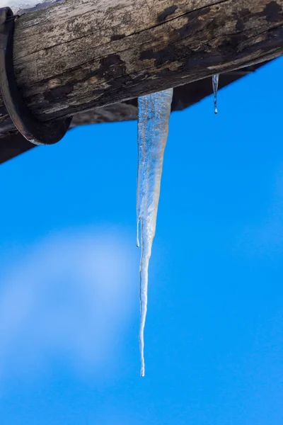 Ice stalactite pending — Stock Photo, Image