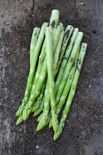 Green Asparagus Soil Wooden Background — Stock Photo, Image